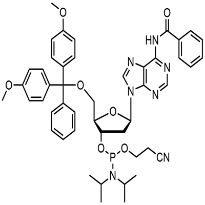 5'-O-(4,4'-ジメトキシトリチル)-N6-ベンゾイル-2'-デオキシアデノシン-3'-(2-シアノエチル-N,N-ジイソプロピル)ホスホルアミダイト