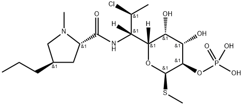 リン酸クリンダマイシン